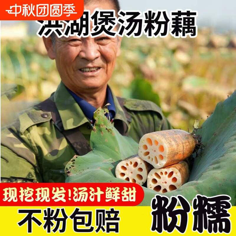 正宗洪湖粉藕九孔藕煲汤藕香软甜图片
