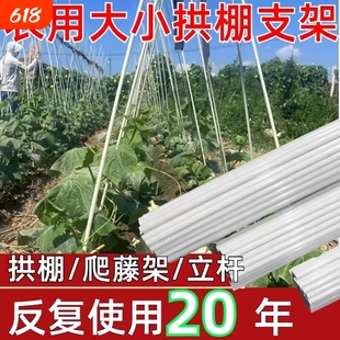 架杆种菜瓜果爬藤架西红柿豇豆塑料纤维杆菜园支架玻纤秧苗植物