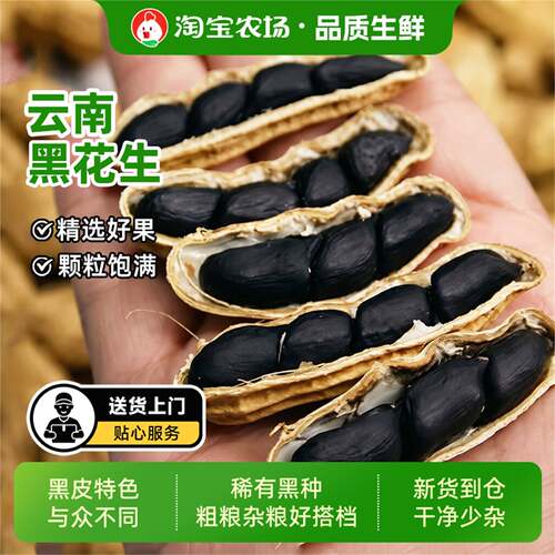 老品种富硒优质黑花生