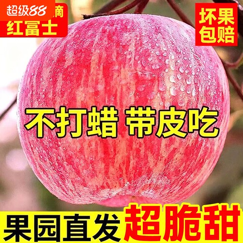 26年现摘红富士苹果当季水果脆甜冰糖心丑苹果不打蜡整箱10包邮斤