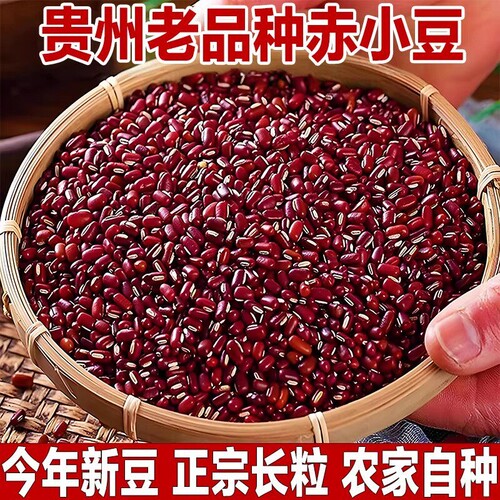正宗长粒赤小豆新货农家自产