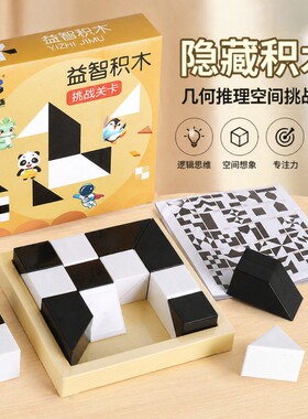 益智隐藏积木拼图3到6岁