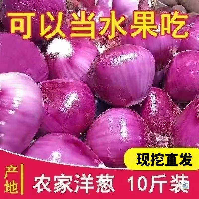 紫皮洋葱甜味新鲜生吃水果蔬菜洋葱不辣农家特产10斤整箱包邮,水产肉类/新鲜蔬果/熟食,洋葱/红葱头,淘宝优惠券,粉丝福利购,淘宝优惠卷