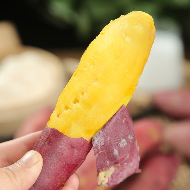 正宗天目农家板栗番薯