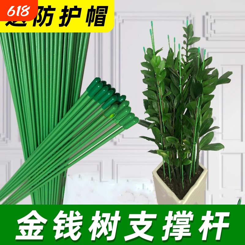 支撑杆花盆防倒伏室内瓜果花卉植物园艺花架爬藤固定捆绑杆包塑