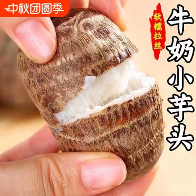 正宗云南牛奶小芋头新鲜现挖农家自种小芋艿毛芋头仔软糯香滑拉丝