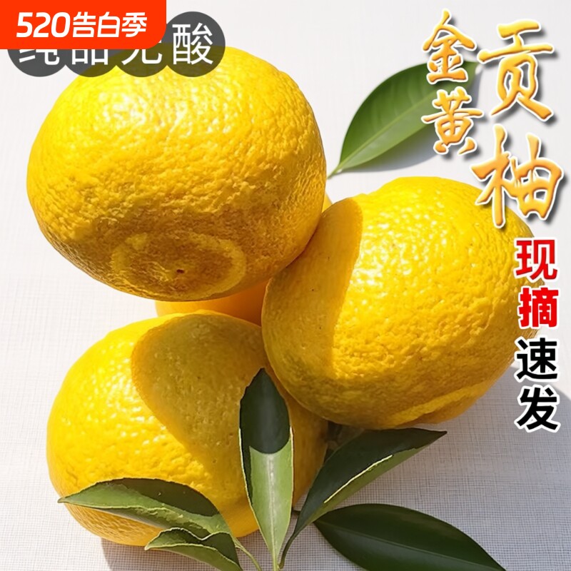 黄金贡柚湖南怀化新鲜水果9斤甜柚手剥柚子当季现摘象山柚纯甜