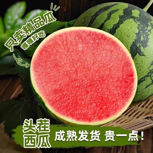 正宗头茬麒麟西瓜当季新鲜9斤水果美都西瓜现摘薄皮手撕西瓜整箱