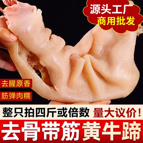 去骨牛蹄新鲜正宗黄牛牛蹄子整只带筋牛脚商用饭店卤菜食材熟冷冻