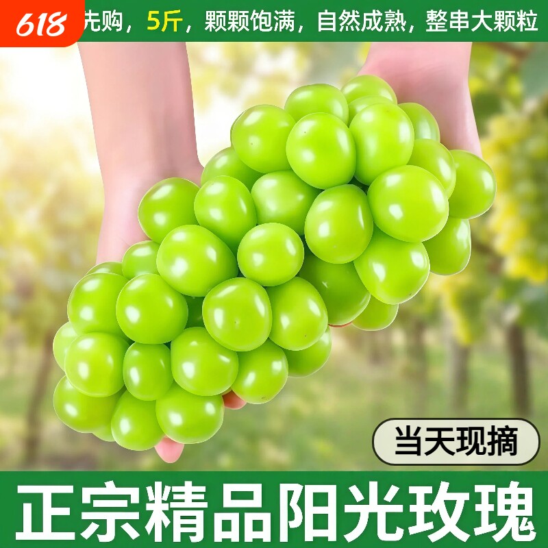 阳光玫瑰葡萄新鲜水果5斤脆甜无籽晴王香印青提当季整箱顺丰包邮