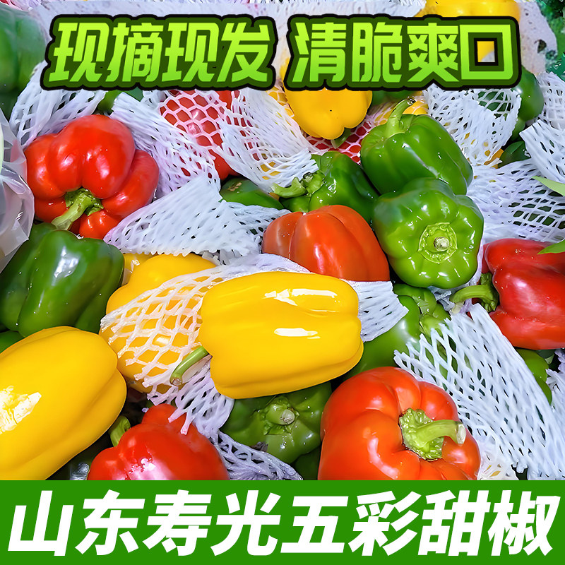 新鲜山东不辣彩椒圆椒灯笼椒辣椒红黄绿三拼甜椒当季沙拉蔬菜