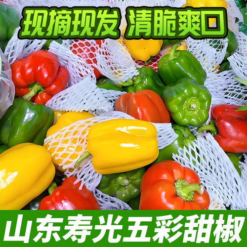新鲜山东不辣彩椒圆椒灯笼椒辣椒红黄绿三拼甜椒当季沙拉蔬菜