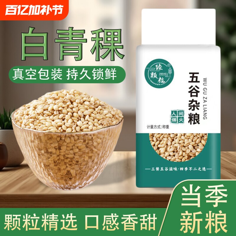 白青稞米青海特产饱腹控糖去皮优质谷物糙米高原西藏煮饭麦仁真空