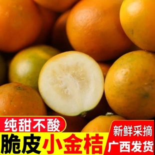 包邮 桂林脆皮金桔现摘当季 新鲜水果纯甜不酸冰糖心广西小金桔橘子