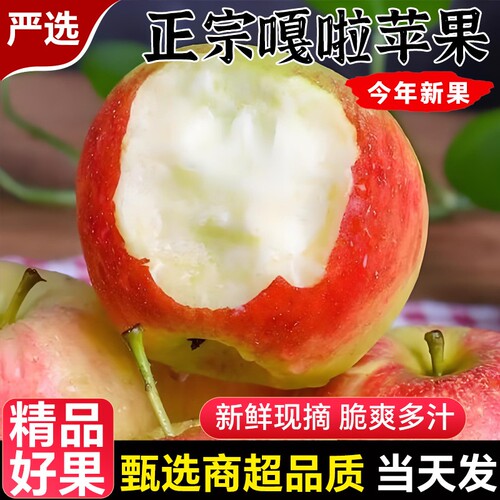 【当季鲜果】鲜嫩多汁现摘现发