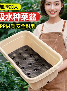 阳台种菜盆储水盆塑料懒人专用箱自动吸水种植箱自吸水特大号水生