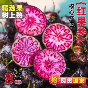 【精选】云南红果参新鲜现摘8盒大果高山蜘蛛果水果一整箱非蓝莓