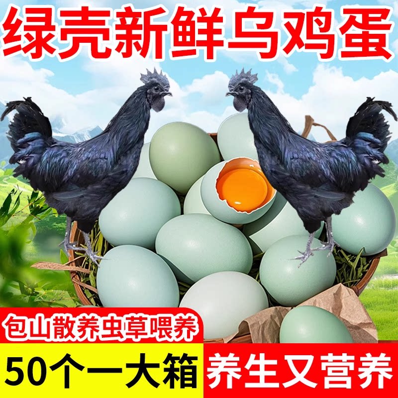新鲜绿壳蛋正宗乌鸡蛋农家散养土鸡蛋孕妇儿童全面月子蛋源头农场