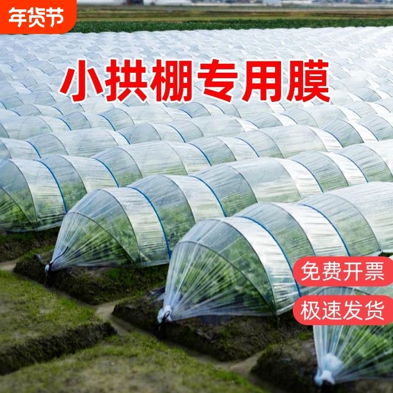 透明小拱棚专用膜塑料膜种菜大棚膜蔬菜农用薄膜育苗保温塑料布