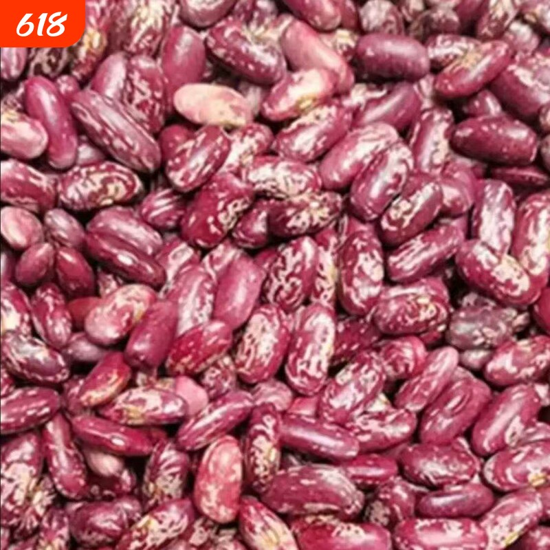 花豆贵州特产红芸豆四季豆贵州新花豆红豆米酸菜豆米