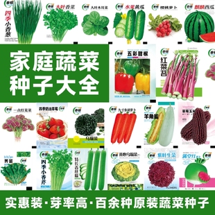 买3发6包四季 播种蔬菜种子青菜香菜白菜生菜小葱阳台盆栽水果种植