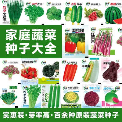 买3发6包四季播种蔬菜种子青菜香菜白菜生菜小葱阳台盆栽水果种植
