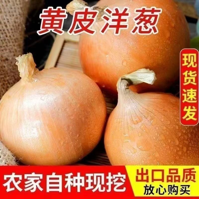 1�� ɽ�����ʻ�Ƥ��������ũ��������������Բ���߲�������ζ