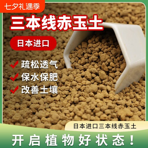 赤玉土三本线日本进口正品硬质颗粒盆景专用铺面麦饭石土壤种植土