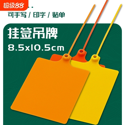 物流标签封条一体式塑料吊牌挂签