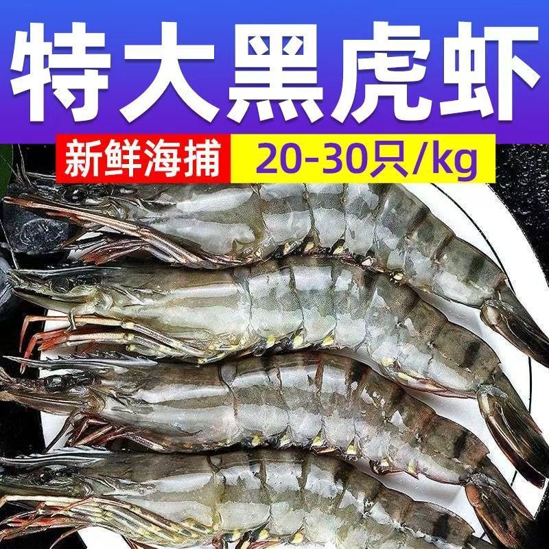 特A级20/30超大黑虎虾无冰速冻单冻老虎虾班节虾顺丰冷链发货