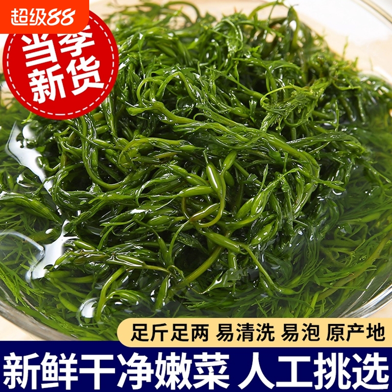 鞭炮笋盐渍马尾藻凉拌菜海草
