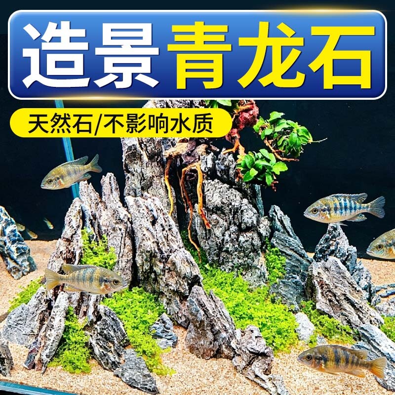 鱼缸造景青龙石头松皮石底部砂石装饰摆件假山天然生态套餐盆景观