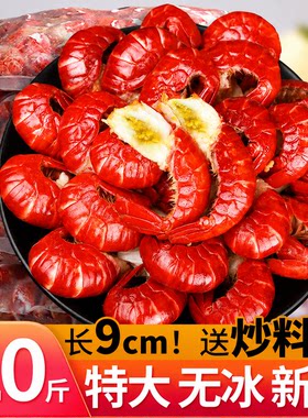 特大号无冰龙虾尾批发商用