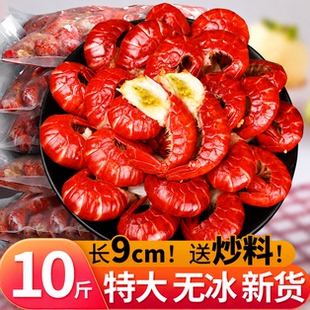 龙虾尾特大号无冰小龙虾麻辣虾尾冷冻生鲜虾球鲜冻批发商用10斤