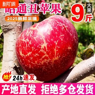 整箱好吃 包邮 云南昭通市丑苹果水果当季 10斤富士糖心苹果红露绍通