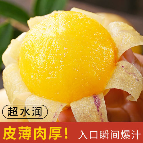 云南石林人参果应季黄心圆果
