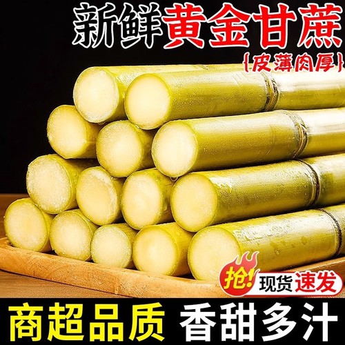 广西黄金甘蔗9斤当季新鲜脆甜黄皮甘蔗中段热带水果正宗特产包邮