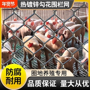 钢丝网果园围栏鸡鸭牛羊护栏勾花网热镀锌铁丝网养殖防护网养防锈