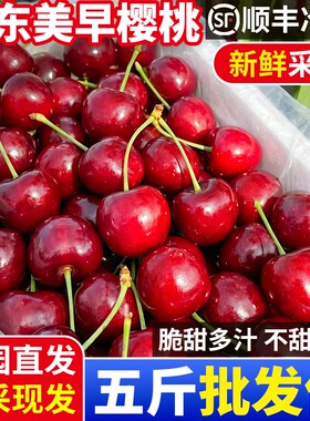 【5斤山东樱桃特惠】脆甜多汁