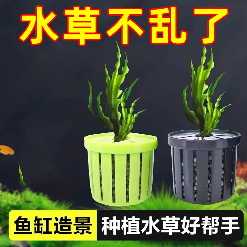 鱼缸水培植物篮家用水草种植水草泥沉底固定器种植造景装饰定植篮