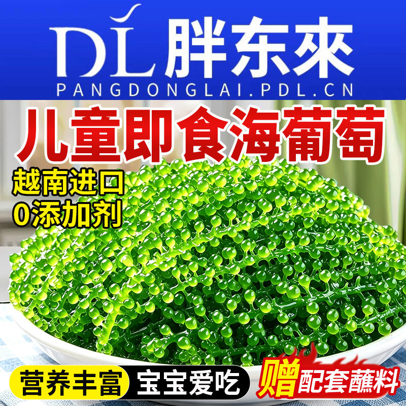 【配料干净】儿童海葡萄即食新鲜图片