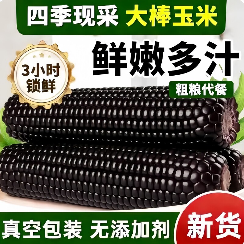 东北黑糯玉米非转基因低脂粗粮真空装代餐新鲜黏糯玉米健康香甜