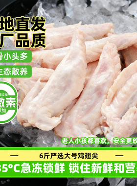 10斤大号鸡翅尖新鲜冷冻生鸡尖生鲜烧烤食材清真商用整箱批发卤味