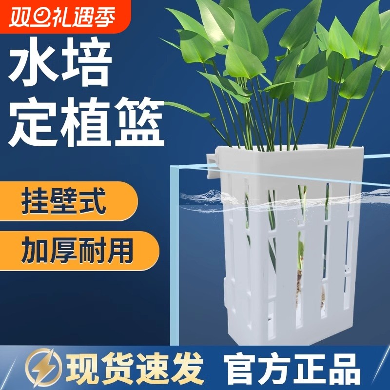 鱼缸水培定植篮壁挂式造景装饰