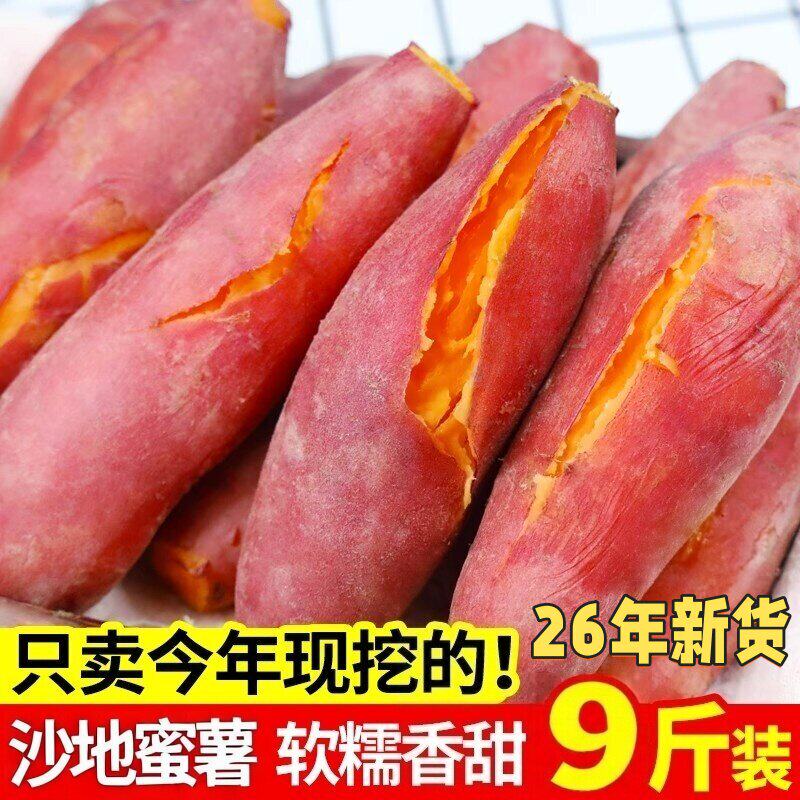 现挖沙地蜜薯西瓜红蜜薯软糯红心地瓜新鲜番薯农家自种糖心地瓜