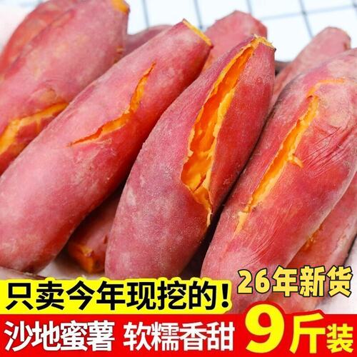 现挖沙地蜜薯西瓜红蜜薯软糯红心地瓜新鲜番薯农家自种糖心地瓜