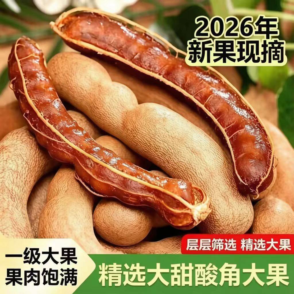 甜酸角云南特产新鲜野生大果罗望子酸角甜角孕妇零食酸豆角果脯