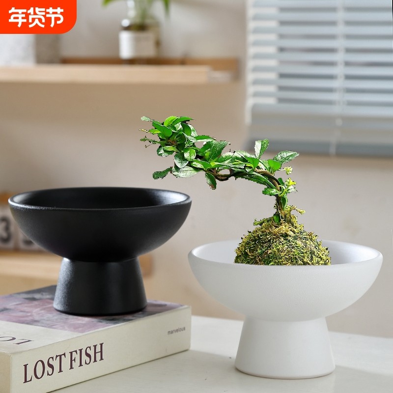 苔藓球花盆陶瓷盆托盘中式桌面摆件水培米竹苔藓球水培器皿盆托,鲜花速递/花卉仿真/绿植园艺,花盆,淘宝优惠券,粉丝福利购,淘宝优惠卷