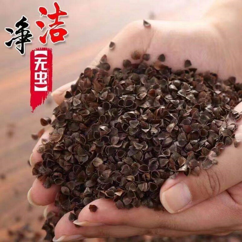 荞麦皮散装高温杀菌家用成人单人枕头学生荞麦颈椎枕荞麦壳枕芯