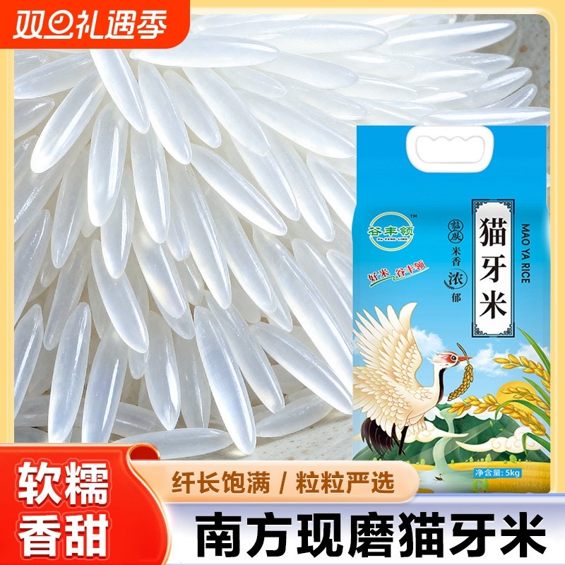 新米上市当季猫牙米长粒香大米新米丝苗香米晚稻煲仔饭蛋炒饭大米